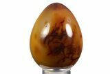 Vibrant Polished Carnelian Agate Egg - Madagascar #331750-1